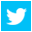 Seguici su Twitter
